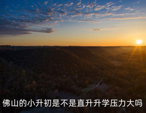 佛山的小升初是不是直升升學(xué)壓力大嗎