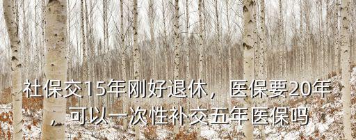 杭州醫保一次性補繳多少年,可以一次性補交五年醫保嗎