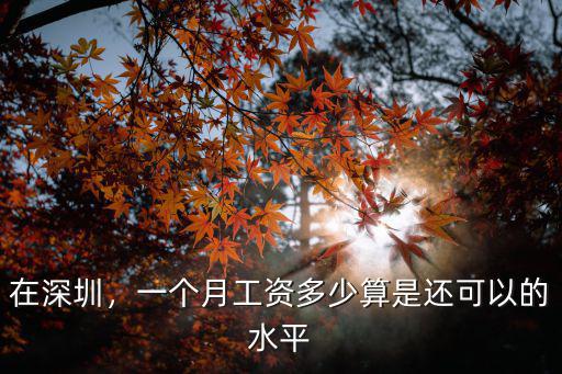 在深圳，一個月工資多少算是還可以的水平