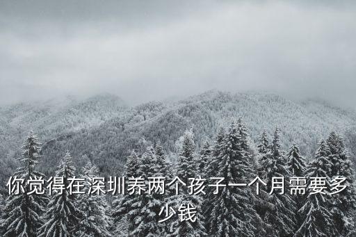 在深圳養(yǎng)二胎怎么樣,在深圳沒(méi)有錢(qián)養(yǎng)小孩怎么辦