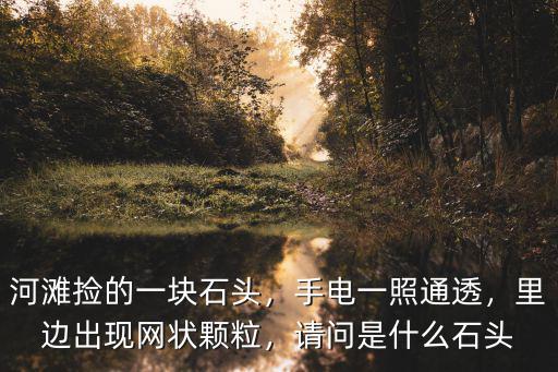 河灘撿的一塊石頭，手電一照通透，里邊出現網狀顆粒，請問是什么石頭