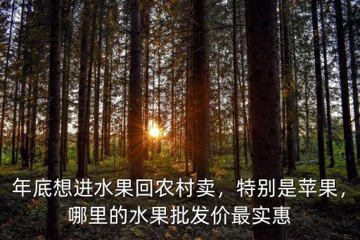 年底想進(jìn)水果回農(nóng)村賣(mài)，特別是蘋(píng)果，哪里的水果批發(fā)價(jià)最實(shí)惠