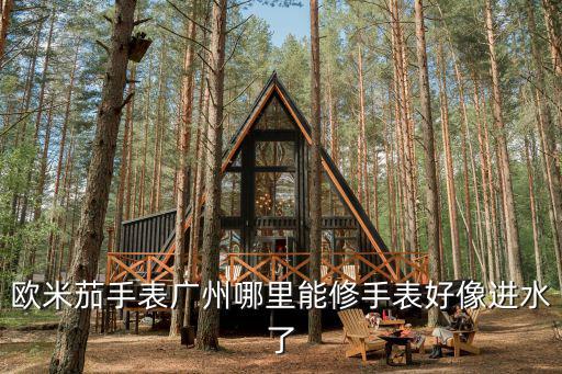 廣州高檔手表去哪里修,歐米茄手表廣州哪里能修
