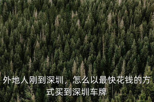 外地人剛到深圳，怎么以最快花錢的方式買到深圳車牌