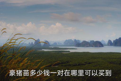 廣東哪里有豪豬種苗買,養(yǎng)殖豪豬有什么要點(diǎn)