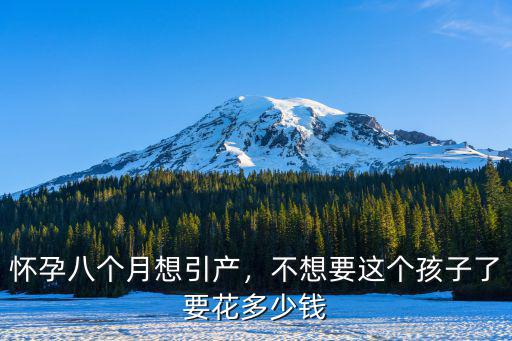懷孕八個月想引產，不想要這個孩子了要花多少錢