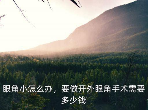 眼角小怎么辦，要做開外眼角手術需要多少錢