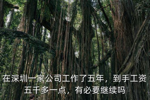 深圳公司上班一般多少工資嗎,深圳服務員工資多少
