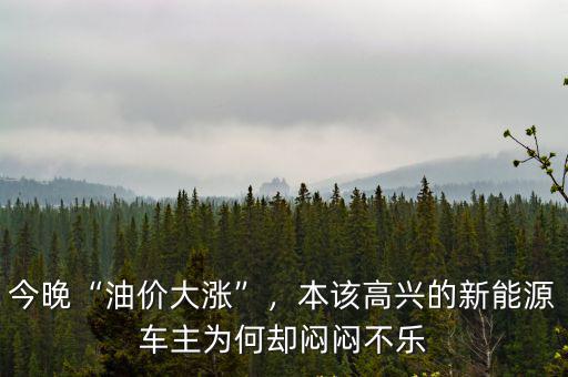 今晚“油價大漲”，本該高興的新能源車主為何卻悶悶不樂