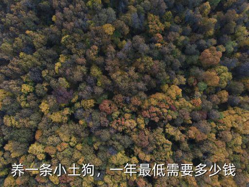 養一條小土狗，一年最低需要多少錢