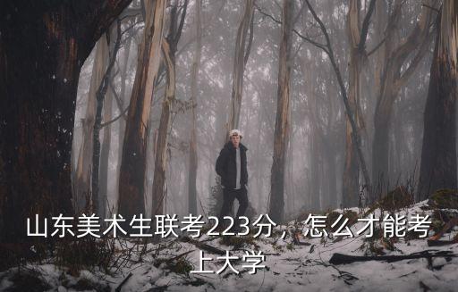 山東美術統考多少分才能上線,山東美術統考229分