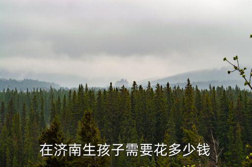 如果去濟(jì)南婦幼生孩子花多少錢,總共需要花多少錢