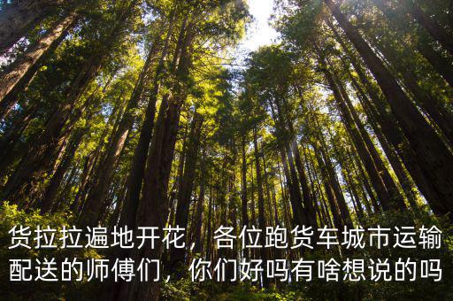 濟南找貨拉拉的電話是多少,貨拉拉司機一個月能賺多少錢