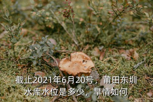 廣東水庫旱情怎么解決,專家解讀廣東旱情