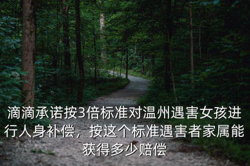 溫州女孩滴滴遇害賠償多少錢,溫州樂清女孩被害一案