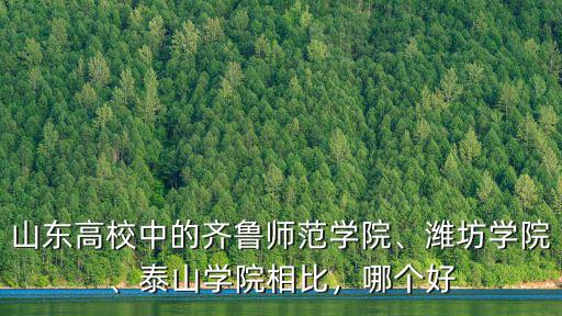 山東高校中的齊魯師范學院、濰坊學院、泰山學院相比，哪個好