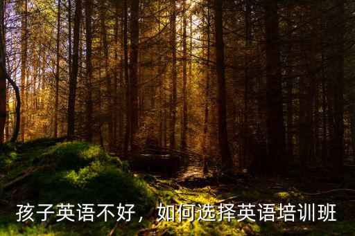 河源幼兒英語(yǔ)培訓(xùn)班怎么學(xué)好英語(yǔ),如何選擇幼兒英語(yǔ)培訓(xùn)班