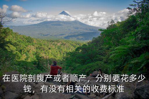 在醫院剖腹產或者順產，分別要花多少錢，有沒有相關的收費標準