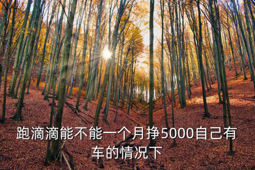 跑滴滴能不能一個月掙5000自己有車的情況下