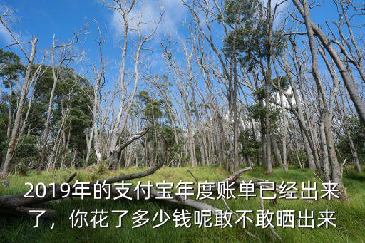 2019年的支付寶年度賬單已經出來了，你花了多少錢呢敢不敢曬出來