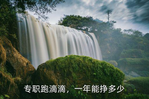 專職跑滴滴，一年能掙多少