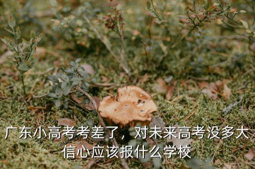廣東高考差10分怎么報(bào)名,廣東小高考考差了