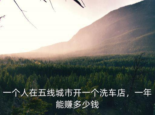 一個(gè)人在五線城市開一個(gè)洗車店，一年能賺多少錢