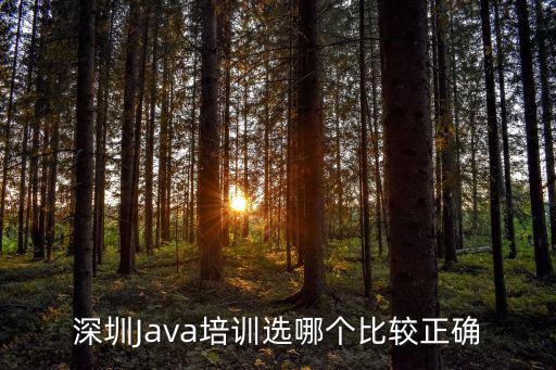 深圳Java培訓選哪個比較正確
