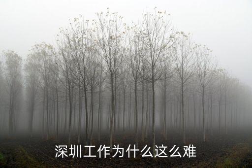 深圳帶娃找工作怎么那么難,深圳工作為什么這么難