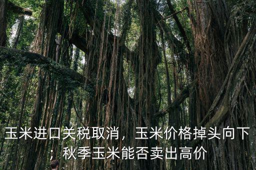 玉米進口關稅取消，玉米價格掉頭向下；秋季玉米能否賣出高價