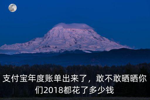 深圳年度賬單多少錢,支付寶年度賬單出來了