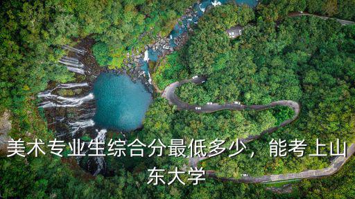 考上山東大學 多少分,美術專業生綜合分最低多少