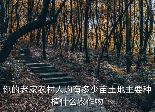 你的老家農村人均有多少畝土地主要種植什么農作物
