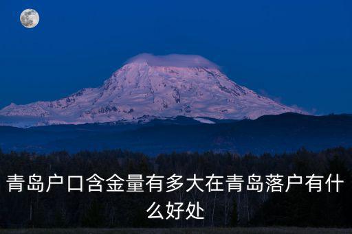 青島市戶口有多少萬人,青島戶口含金量有多大