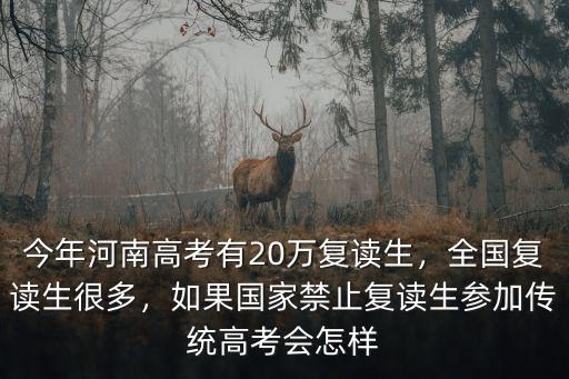 今年河南高考有20萬復(fù)讀生，全國復(fù)讀生很多，如果國家禁止復(fù)讀生參加傳統(tǒng)高考會怎樣