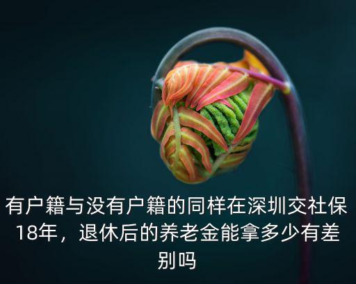 有戶籍與沒有戶籍的同樣在深圳交社保18年，退休后的養老金能拿多少有差別嗎