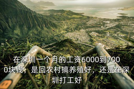 深圳飯店打工工資大概多少錢一個(gè)月多少錢,還是在深圳打工好