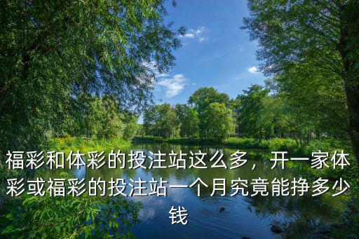 福彩和體彩的投注站這么多，開一家體彩或福彩的投注站一個月究竟能掙多少錢