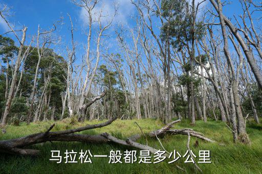馬拉松一般都是多少公里