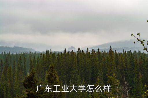 廣東工業(yè)大學(xué) 輔修 怎么樣,廣東工業(yè)大學(xué)怎么樣