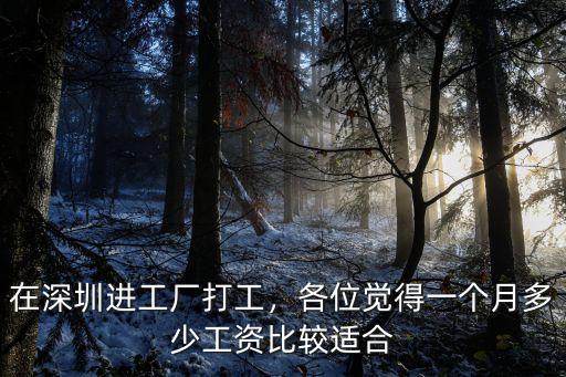 在深圳進工廠打工，各位覺得一個月多少工資比較適合