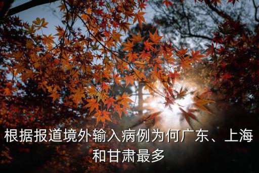 根據(jù)報道境外輸入病例為何廣東、上海和甘肅最多