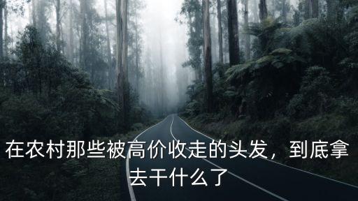 在農(nóng)村那些被高價(jià)收走的頭發(fā)，到底拿去干什么了