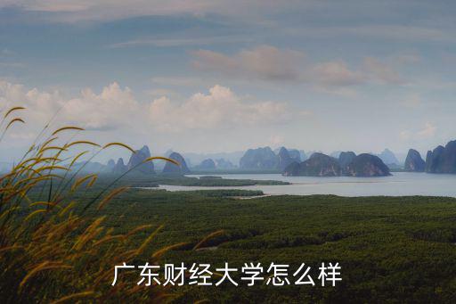 廣東財(cái)經(jīng)大學(xué)怎么樣