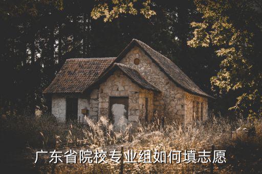 廣東學(xué)校專業(yè)組怎么填志愿,廣東省院校專業(yè)組如何填志愿