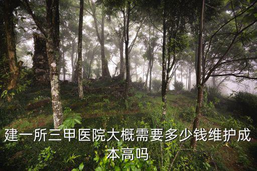 建一所三甲醫院大概需要多少錢維護成本高嗎
