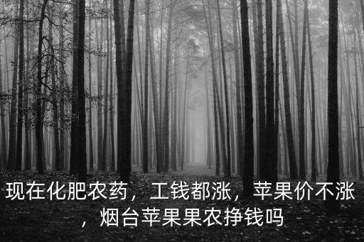 現(xiàn)在化肥農(nóng)藥，工錢都漲，蘋果價(jià)不漲，煙臺(tái)蘋果果農(nóng)掙錢嗎