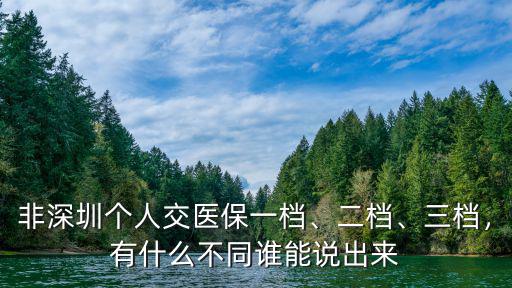 非深圳個(gè)人交醫(yī)保一檔、二檔、三檔，有什么不同誰(shuí)能說(shuō)出來(lái)