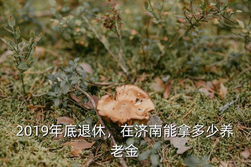 在濟南一年的養老金是多少,濟南退休工人平均工資是多少