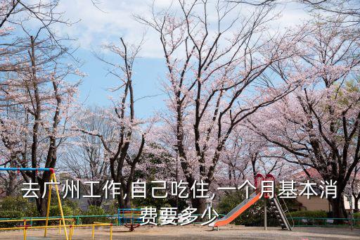 廣州租房水電費一個月用多少,一個月基本消費要多少